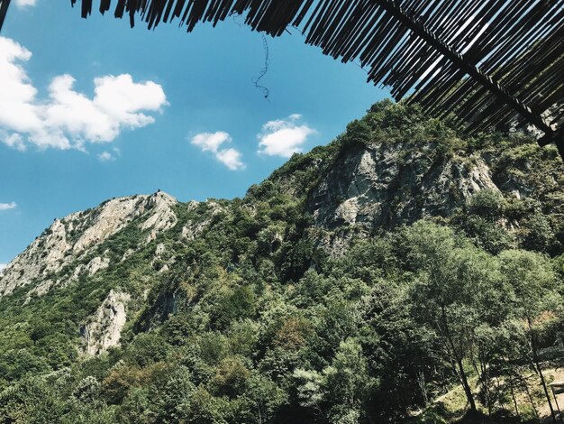 Low angle view of trees and mountain against sky