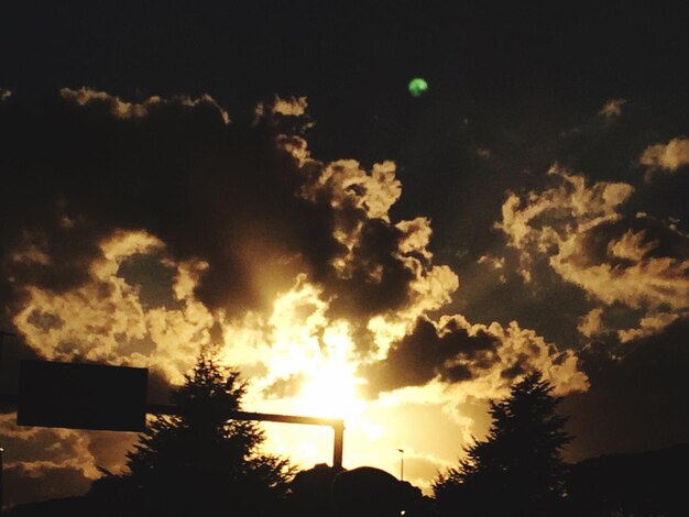 Foto vista ad angolo basso degli alberi al tramonto