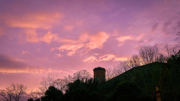 Photo low angle view of trees and tower against sky at sunset