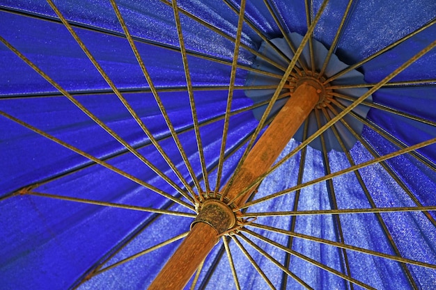 Low angle view of umbrella