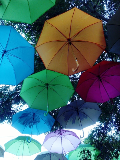 Photo low angle view of umbrellas