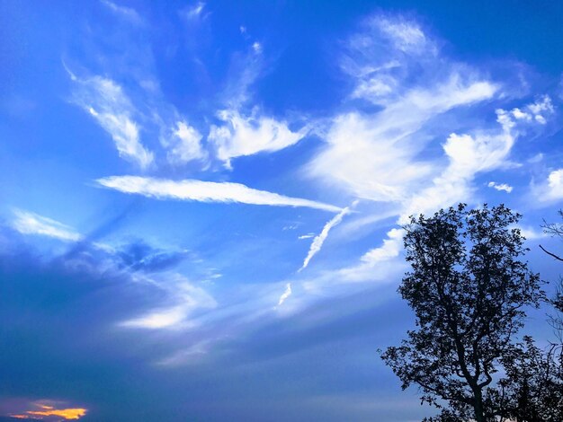 Low angle view of vapor trail in sky