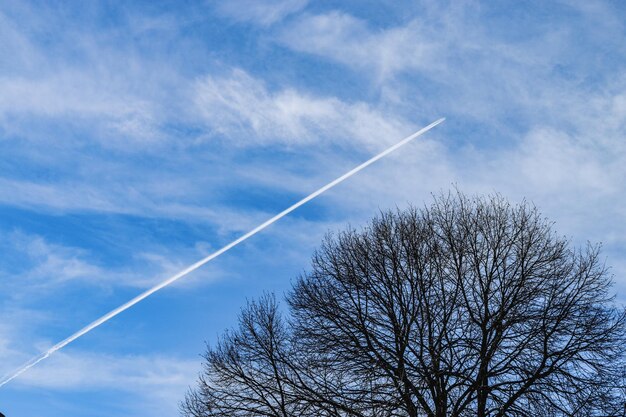 Foto vista a bassa angolazione della traccia di vapore nel cielo