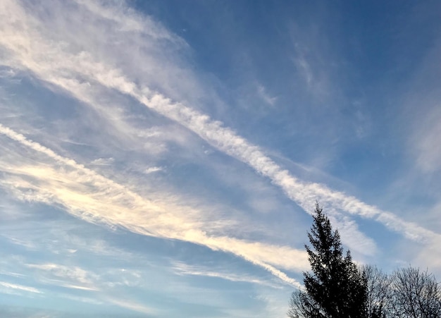 空の蒸気の足跡の低角度のビュー