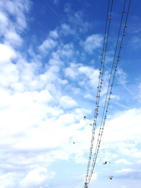 Low angle view of vapor trails against sky