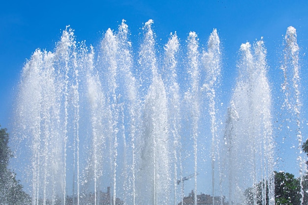 天空に照らされたの低角度の景色