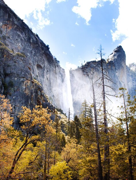Photo low angle view of waterfall in forest against sky in yosemite national park california