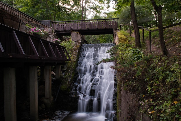 Foto vista a basso angolo di una cascata nella foresta