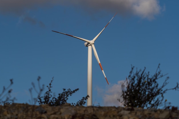 Low angle view of wind turbines on field against sky