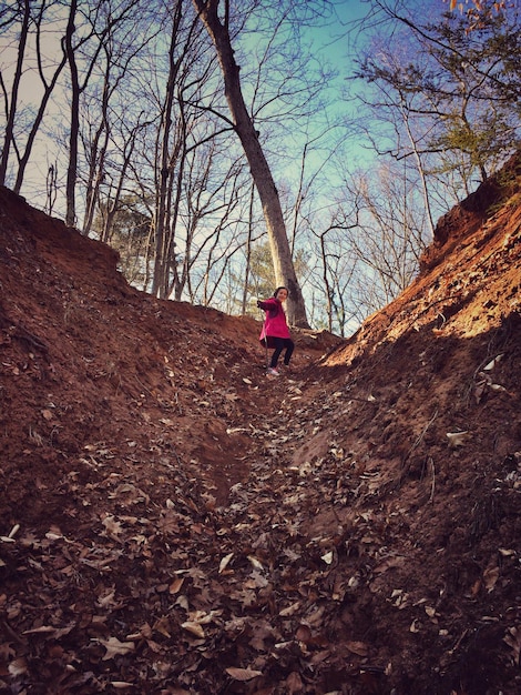 Photo low angle view of woman against bare trees at forest