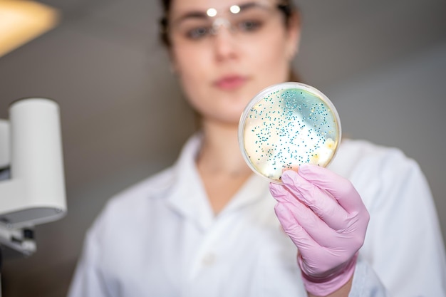 Photo low angle view of woman holding petri dish