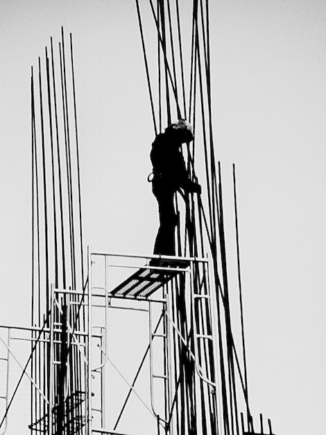 Foto vista a basso angolo della donna