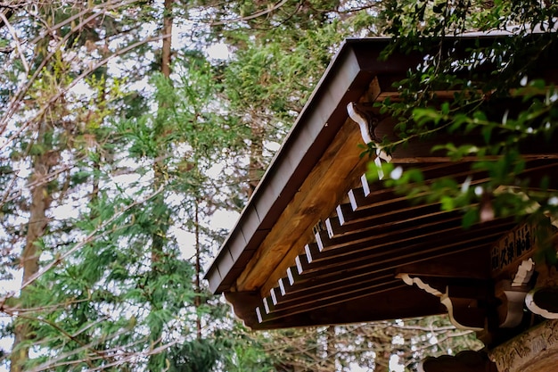 Low angle view of wooden house by trees