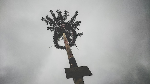 Low angle view of wreath around tree against cloudy sky