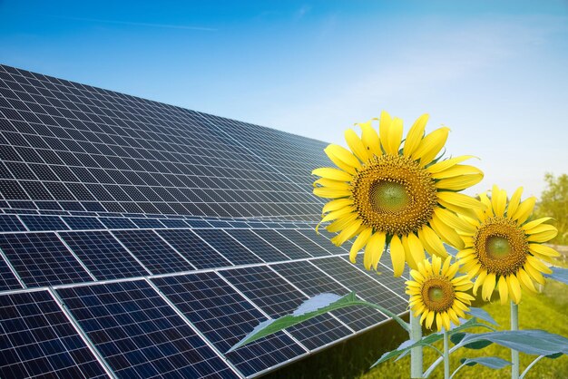 Low angle view of yellow flower against sky