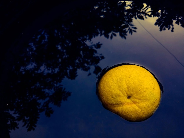 Foto vista a basso angolo dell'albero giallo contro un cielo limpido