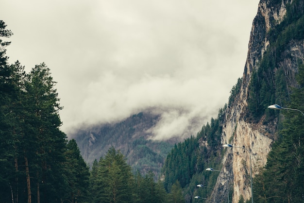 Low clouds float between mountains. 