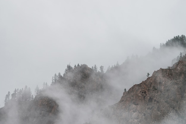 Low clouds among rocks.