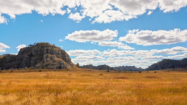 Low grass growing on African savanna, small rocky mountains in background - typical scenery at Isalo national Park, Madagascar