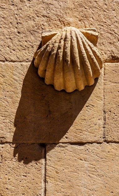 Photo low relief molding of a shell sculpted in orange granite rock with its shadows stretched diagonally