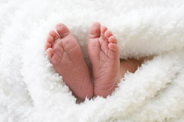 Low section of baby feet