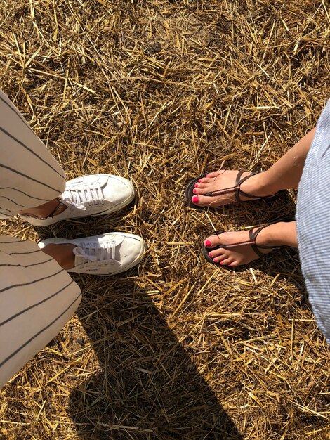 Photo low section of couple standing on field