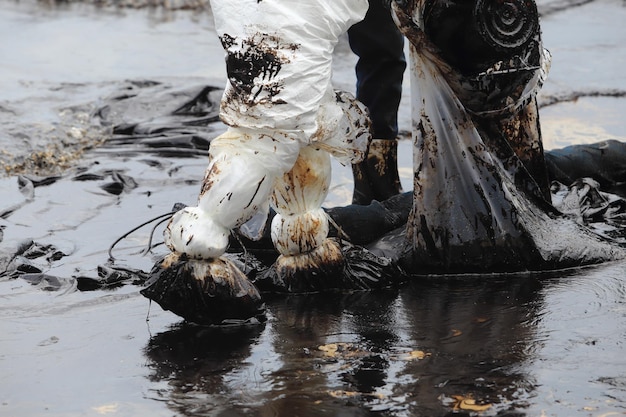 Photo low section of horse in water