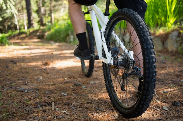 Sezione bassa della bicicletta di guida del ciclista in mountain-bike maschio