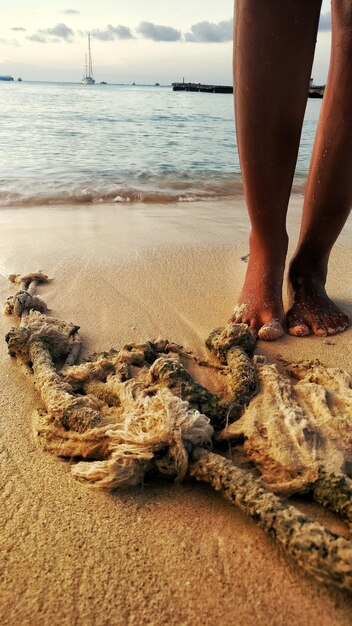 Low section of man on beach