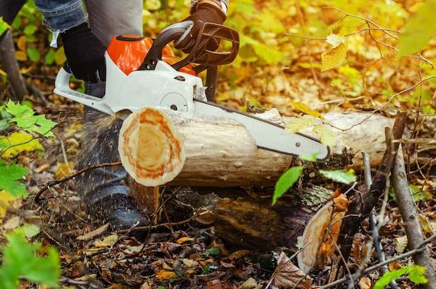 Foto sezione bassa di un uomo che taglia il tronco di un albero con una motosega nella foresta