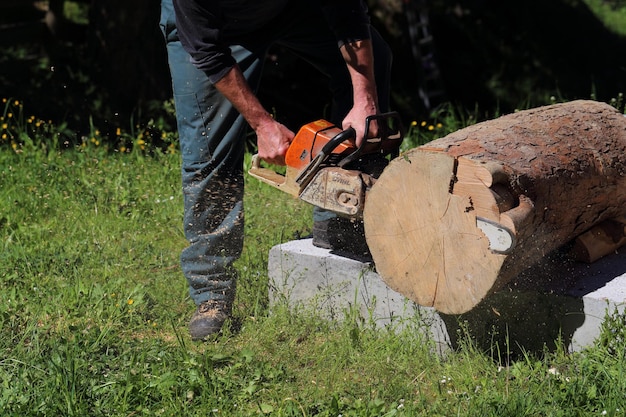 Low section of man cutting tree trunk