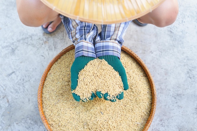 Photo low section of man holding grain over basket