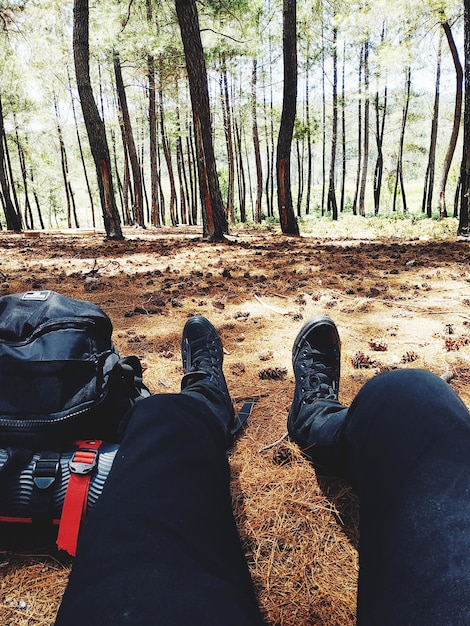 Photo low section of man sitting in forest