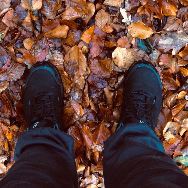 Low section of man standing on autumn leaves