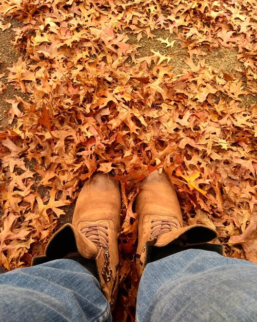 Low section of man standing on autumn leaves