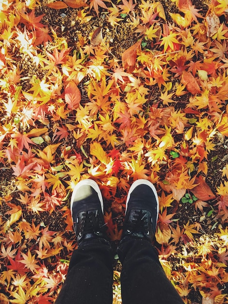 Low section of man standing on autumn leaves