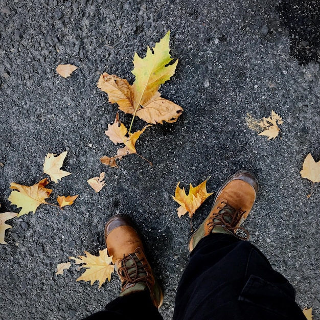 Photo low section of man standing by fallen leaves