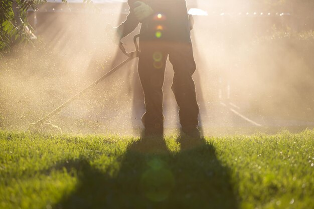 Photo low section of man standing by plants