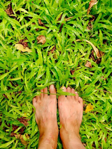 Low section of man standing on grassy land