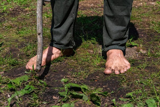 Low section of man standing on ground in forest