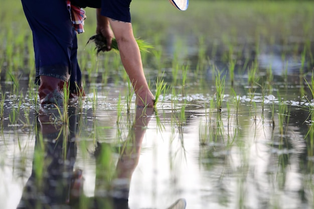 Photo low section of man standing in lake