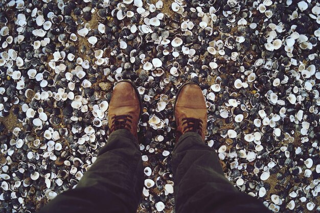 Photo low section of man standing on seashells