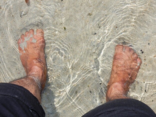 Photo low section of man standing on shore