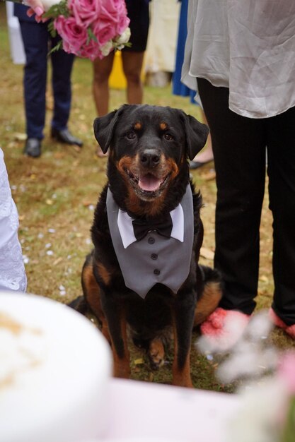 Photo low section of man standing with dog