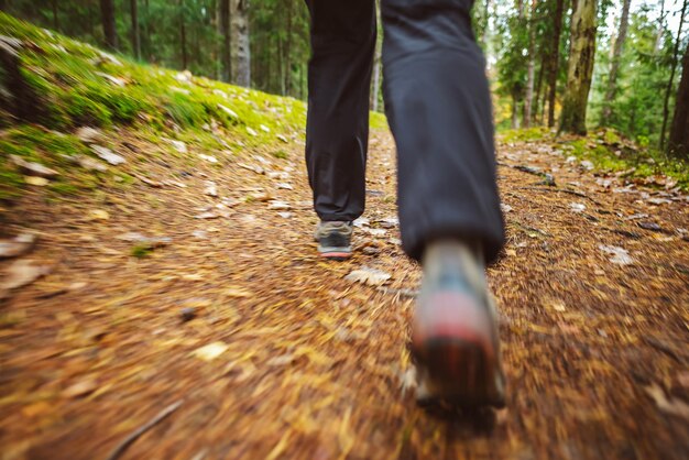 Photo low section of man walking in forest