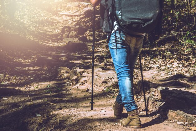 Low section of man walking with hiking pole in forest