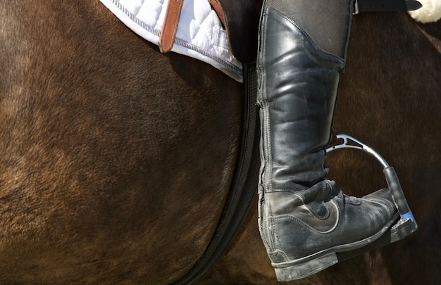 low section of man wearing shoes
