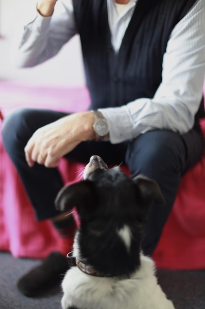 Photo low section of man with dog at home