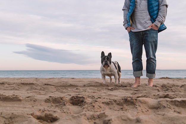 冬の空を背景にビーチに立っている犬と男の低いセクション