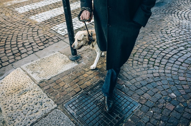 Low section of man with dog walking on street